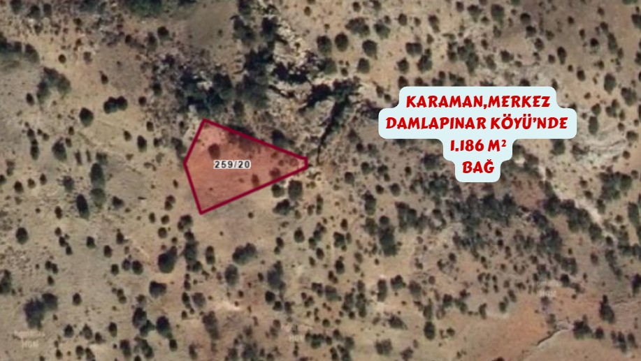 KARAMAN MERKEZ DAMLAPINAR KÖYÜNDE 1.186 M² BAĞIMIZ SATILIKTIR. - KARAMAN MERKEZ fotoğraf 4